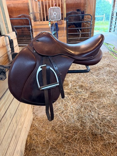 All purpose M. Toulouse saddle