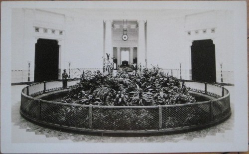 Chicago, IL 1930 Real Photo Postcard Shedd Aquarium Outdoor Pool Illinois Ill - 第 1/1 張圖片