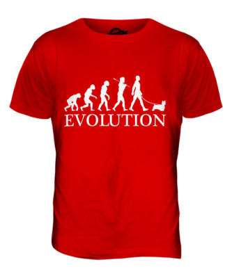 CAIRN TERRIER EVOLUTION OF MAN MENS T-SHIRT TEE TOP DOG LOVER GIFT WALKER