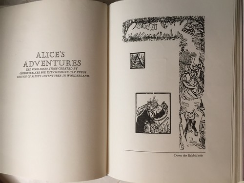 Alice's Adventures in Toronto. The Wood Engravings and Drawings for Alice's Adve - Picture 9 of 9