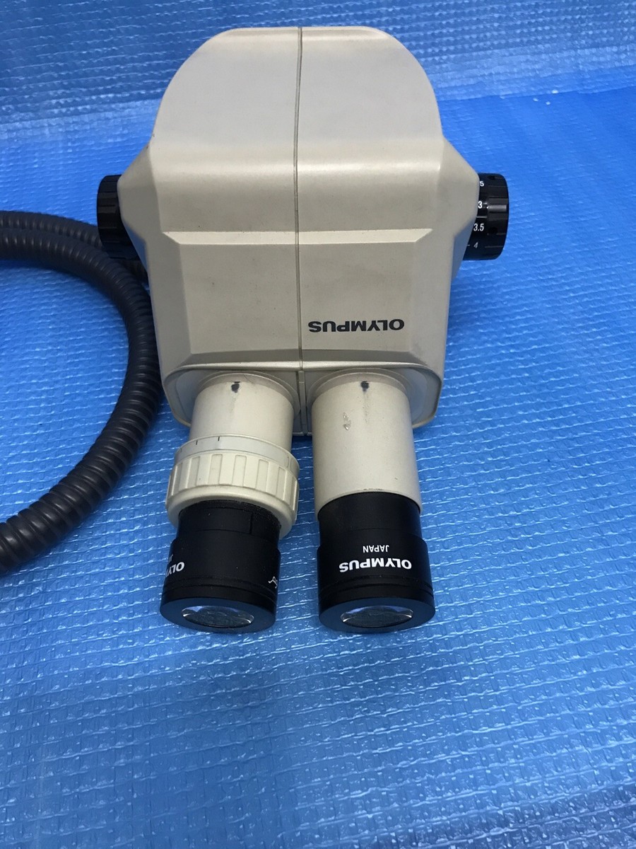 OLYMPUS μ-30 Olympus SZ30 Microscope: Binocular & Stereo | NY Microscope Co.