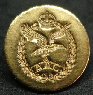 WW2 Era Army Air Corps AAC (1942 50) 24mm Gilt Military Button by JR Gaunt