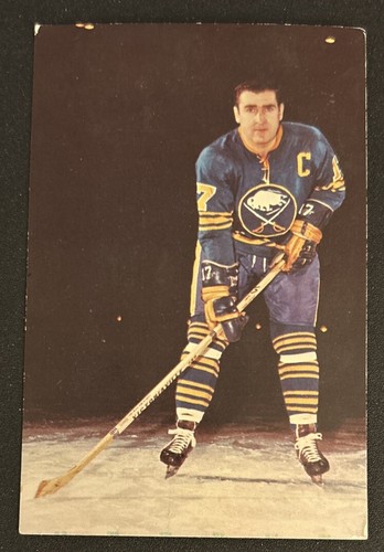 Floyd Smith Buffalo Sabres #17 Hockey Photo Postcard Post Card 82284-C Dexter