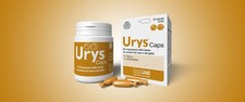 Innovet URYS CAPS 30 Capsule per CANI e GATTI → Benessere delle vie Urinarie