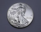 2013 U.S American Eagle Walking Liberty Uncirculated 1 Oz. Silver Dollar Coin