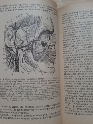 STOMATOLOGIE, ZAHNMEDIZIN, ZAHNMEDIZIN - seltenes Handbuch, RUSSLAND 1970 - Bild 8 von 12