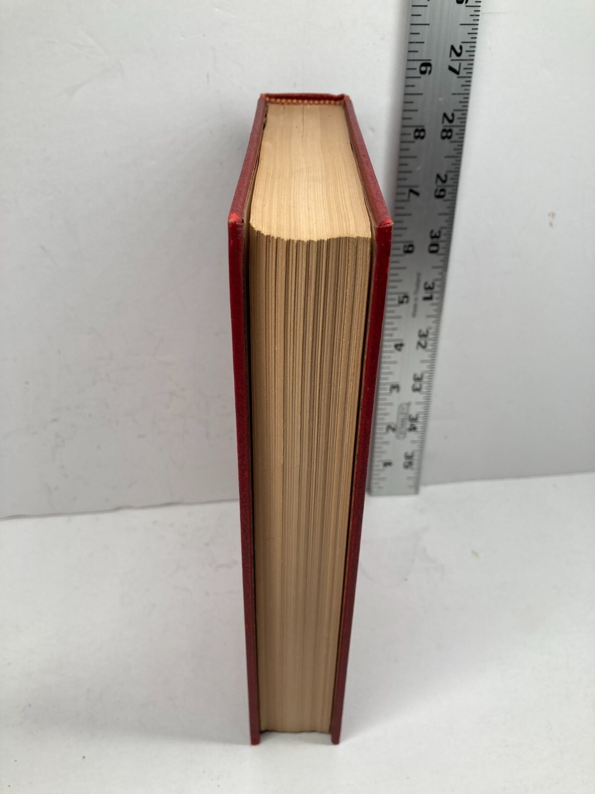 Bild 417 von 617