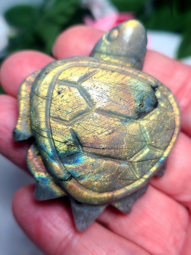 2.3" 59g Pretty Golden Fire Flash Labradorite Sea Turtle Crystal Crystal Carving - Picture 2 of 8