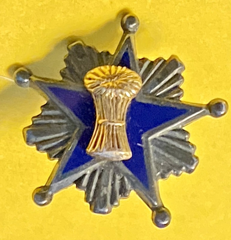 Grange Order Patrons Husbandry Sterling Silver Screw Back Pin gold filled wheat
