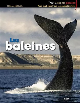 Die Wale, Stéphane Hergueta, Pascal Robin und Amandine Labarre