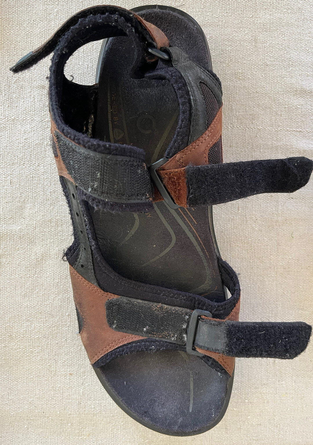 Ecco Leather Strappy Gladiator Hook N Loop Sandal… - image 6