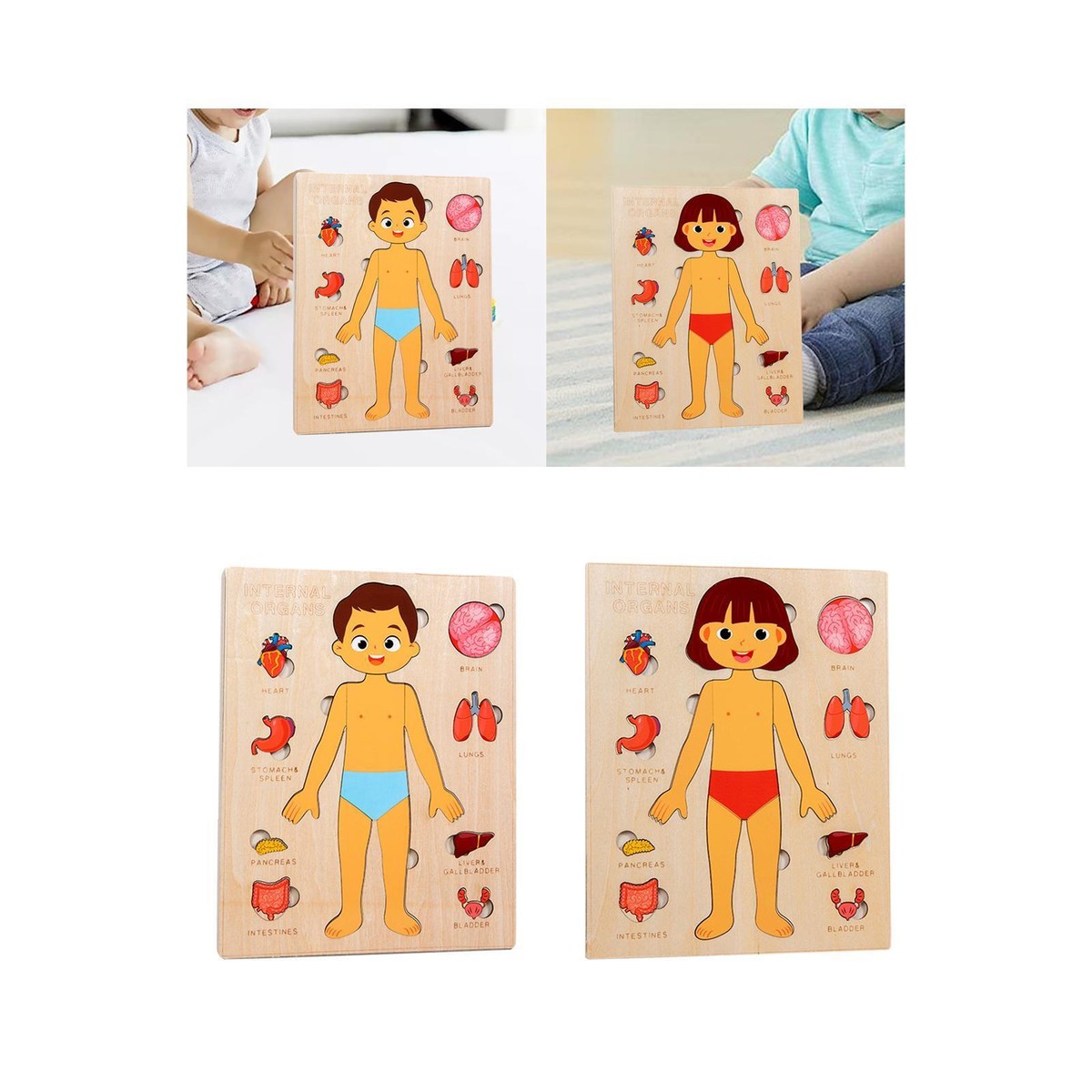 Human Body Parts For Kids Learning Educational Human Body Parts Puzzle
