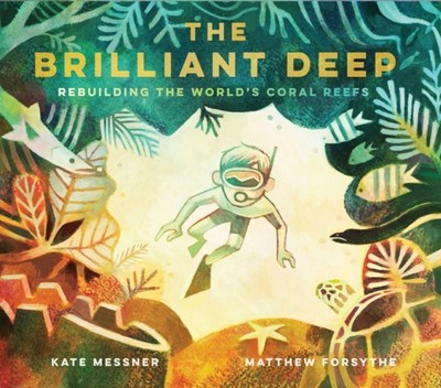 BRILLIANT DEEP by Kate Messner Hardback Self Help Business