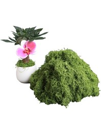 5.3oz Green Fake Moss Artificial Floral Moss Faux Plant for DIY Crafts Fairy ...