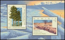 NAMIBIA 2026  TREES PETRIFIED FOREST