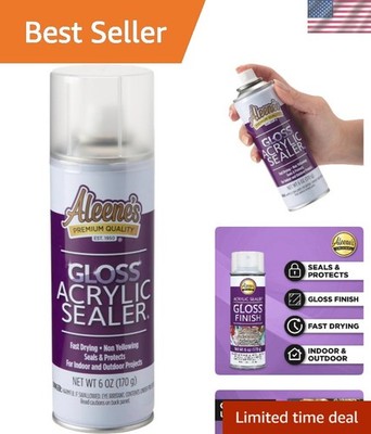 Water Resistant 6 Oz Acrylic Spray Sealer - Crystal Clear Gloss Finish