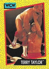 1991 Impel WCW - Terry Taylor #75