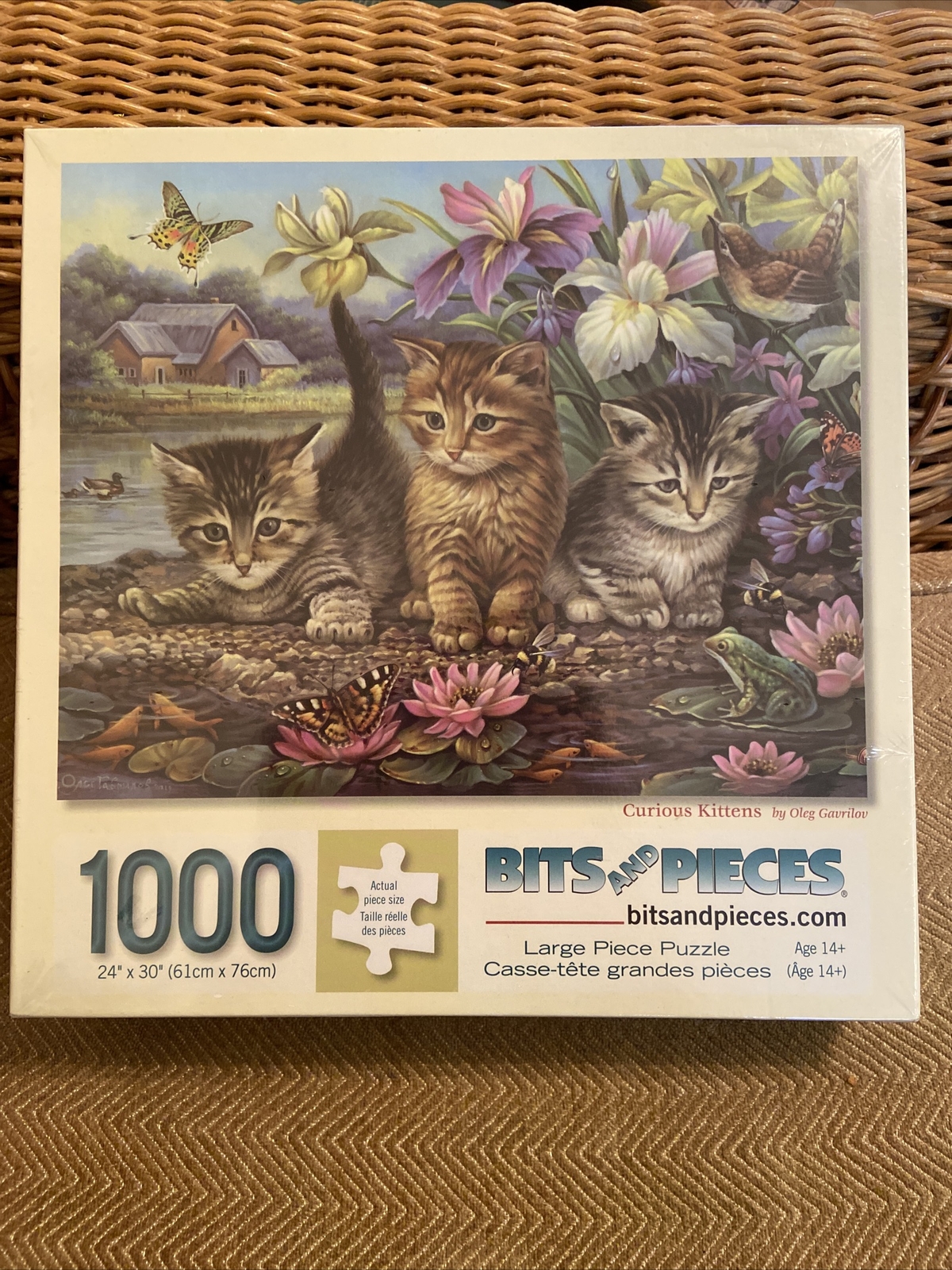 Large Piece Jigsaw Puzzle By Bits & Pieces 1000 Curious Kittens New