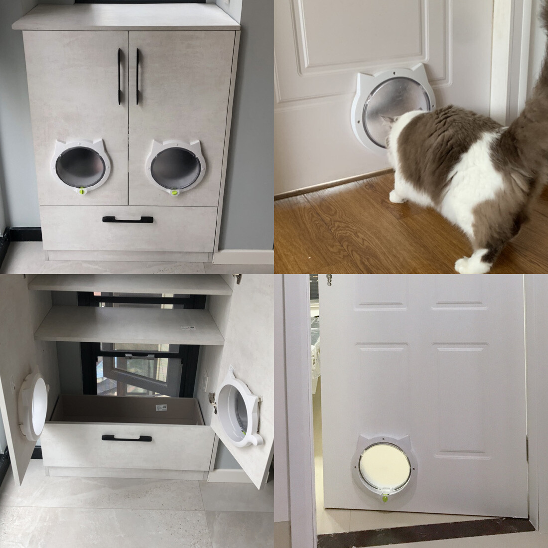 Pets At The Groom Room Fort Kinnaird Pet Groomer The Groom Room