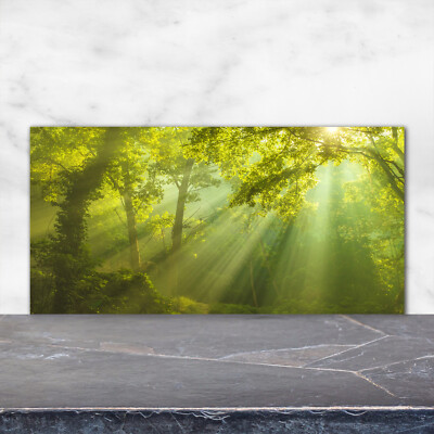 Küchenrückwand Spritzschutz aus Glas 120x60 Deko Landschaften Wald Sonne