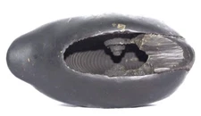 Rare Big Size Laxmi Bhu Varaha Shaligram / Varaha Salagram - Gandaki River Nepal