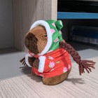 Bild 8 von 31