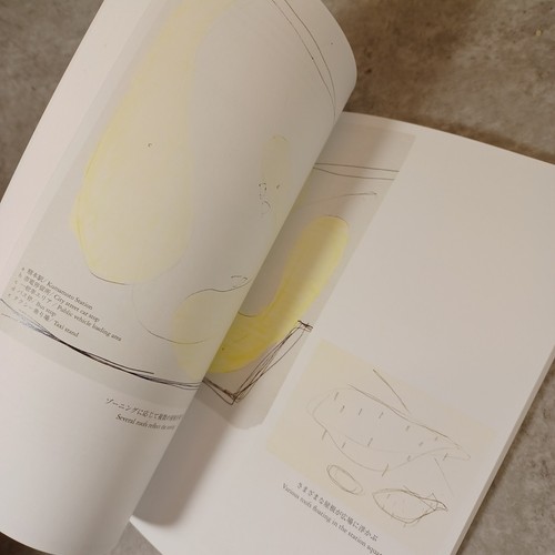 Studies by Ryue Nishizawa : contemporary Architects Concept Series - Foto 19 di 24