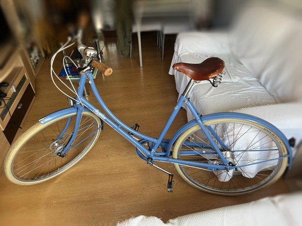 bicicleta paseo británica Pashley Poppy