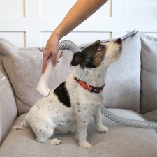 Pet Grooming Vacuum Kit Cat Dog Groomer Clipper Brush Suction Tools Set Grooming