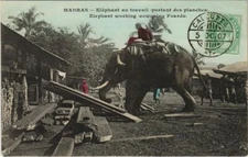 PC MADRAS ELEPHANT WORKING COWQUING FOARDS INDIA (a20563)