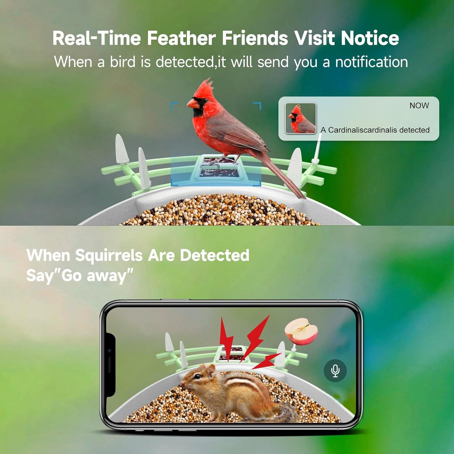 Smart Bird Feeder with Camera Solar Powered,Ai Identify Species,2K HD Video Auto