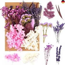 SOSPIRO Nat&uuml;rliche Getrocknete Blumen,Trockenblumen zum Basteln,Blumen
