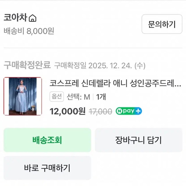 Cinderella Princess Costume for Women - Disney Theme Cosplay