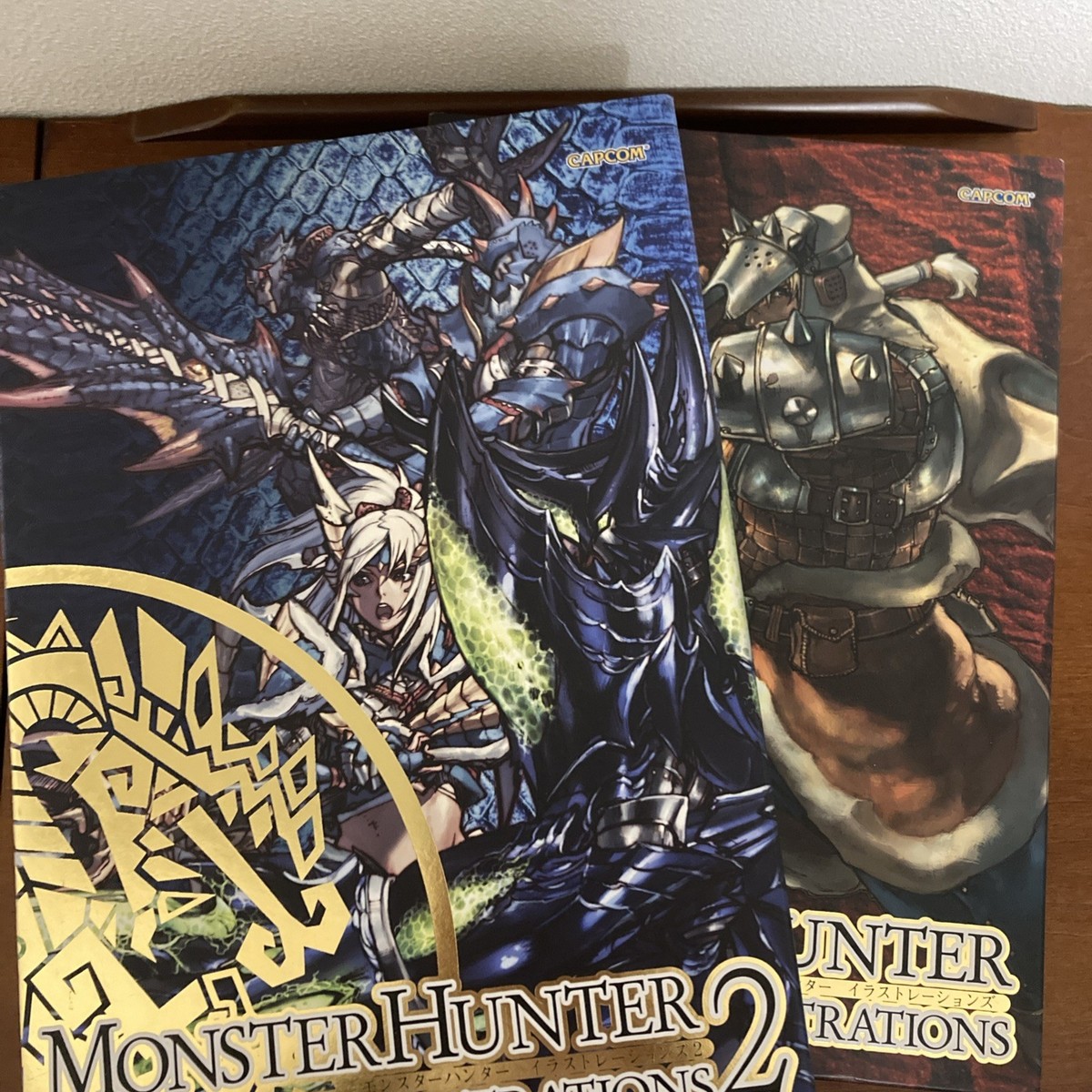 Monster Hunter Illustrations 1 & 2 Set Art Book Illustration
