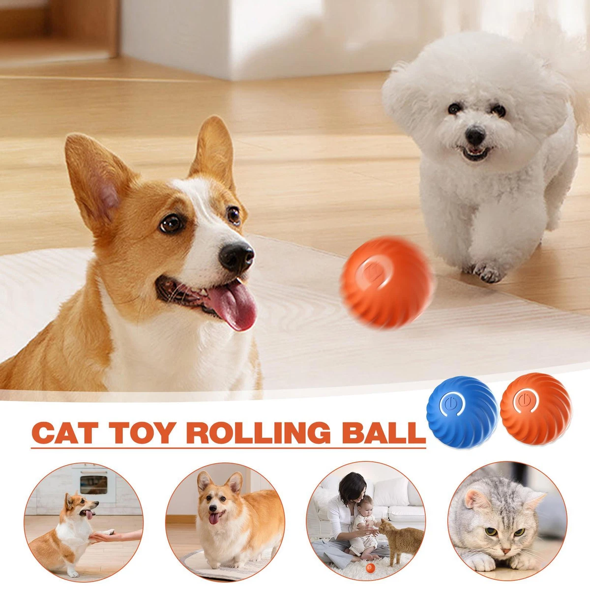 Teaser ball dog clearance toy