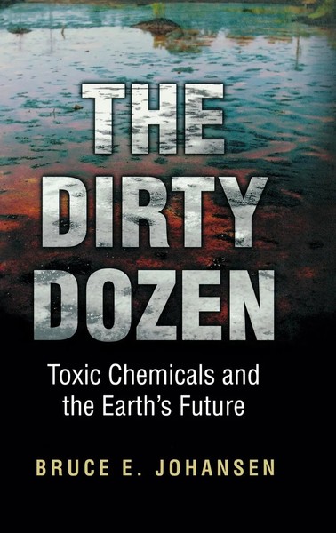 Bruce Johansen | The Dirty Dozen | Buch | Englisch (2003) | Gebunden | Praeger-image