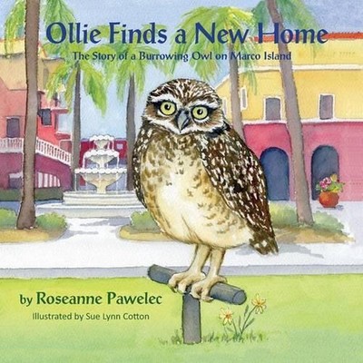 Ollie Finds a New Home, The Story of a Burrowing Owl on Marco Island by Roseanne