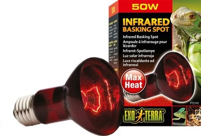 Exo Terra Heat Glo Infrared Heat Lamp R20   50 W