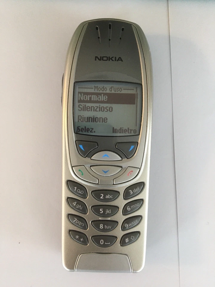 Nokia 6310 Argento Scatola originale, CD, Libretto istruzioni, Caricabatteria - Immagine 3 di 4