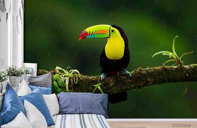 3D Colored Toucan Branch Wallpaper Wall Murals Removable Wallpaper 261