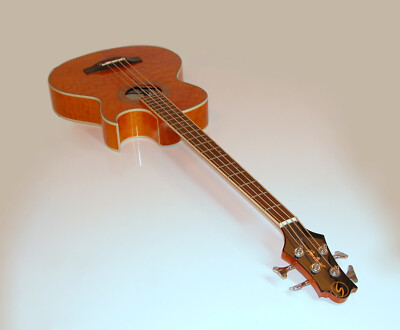 Samich Greg Bennett Electro-Acoustic 🎸Quilt Maple Bass Guitar AB