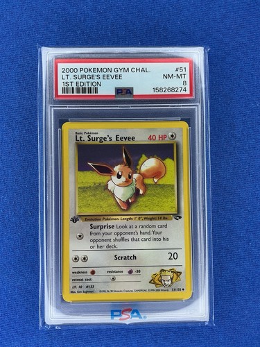 Lt. Surge's Eevee (1st Edition) graded PSA 8 for sale on eBay