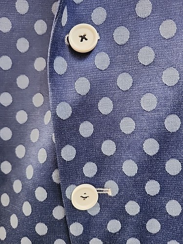 Blazer Vestido Azul Polkadot Para Hombre Calce Ajustado Paisley Y Gris S/42 - Imagen 4 de 13