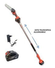 Elettrosega batteria 24V motosega potatore troncarami con asta telescopica 240mm