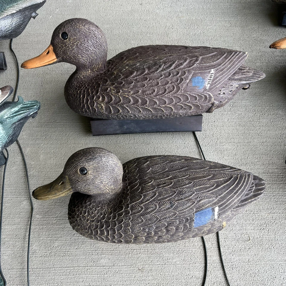 Flambeau Plástico Pato Señuelos Cuerpo Hueco Mallards Hacer y Mujer Lote De Colección Foto 4 de 4