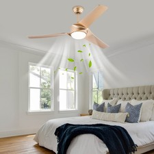 Modern Ceiling Fan Light, 52 Inch Ceiling Fan Light, Ceiling Fan Light