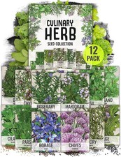 Seed Needs Herb Seeds Variety Pack Culinary Herb Collection 12 Individual Packe