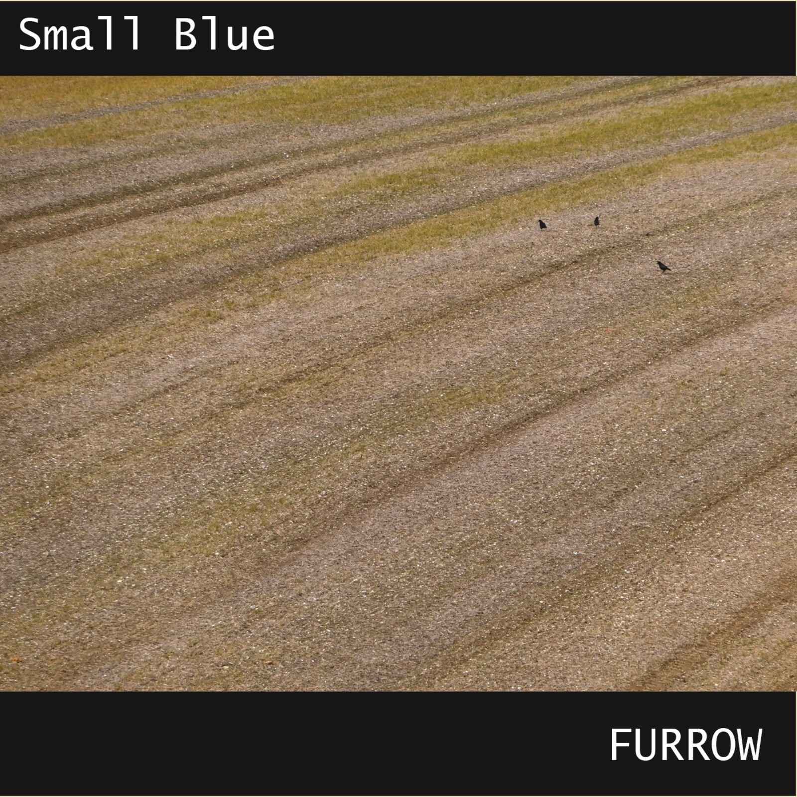Small Blue Furrow CD NEW