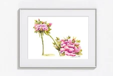 9x12 Original Watercolor Painting, Rose Painting, Flower Painting,Botanical Art