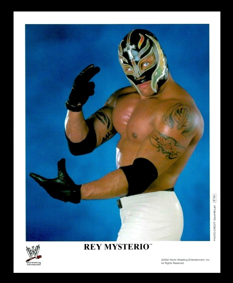 Wwe Rey Mysterio Wallpaper 2013 Trademark Fine Art Officially Licensed — free download